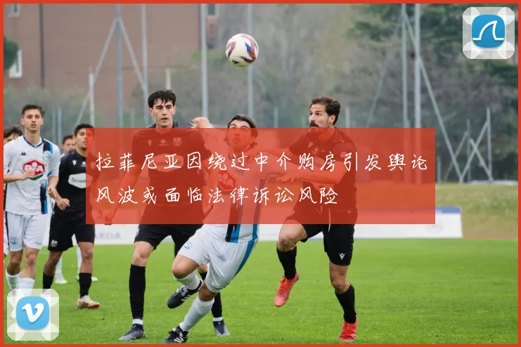 拉菲尼亚因绕过中介购房引发舆论风波或面临法律诉讼风险