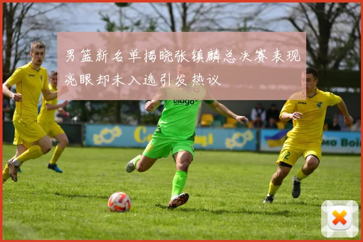 男篮新名单揭晓张镇麟总决赛表现亮眼却未入选引发热议